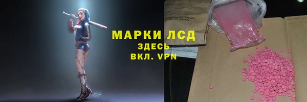 ПСИЛОЦИБИНОВЫЕ ГРИБЫ Белоозёрский